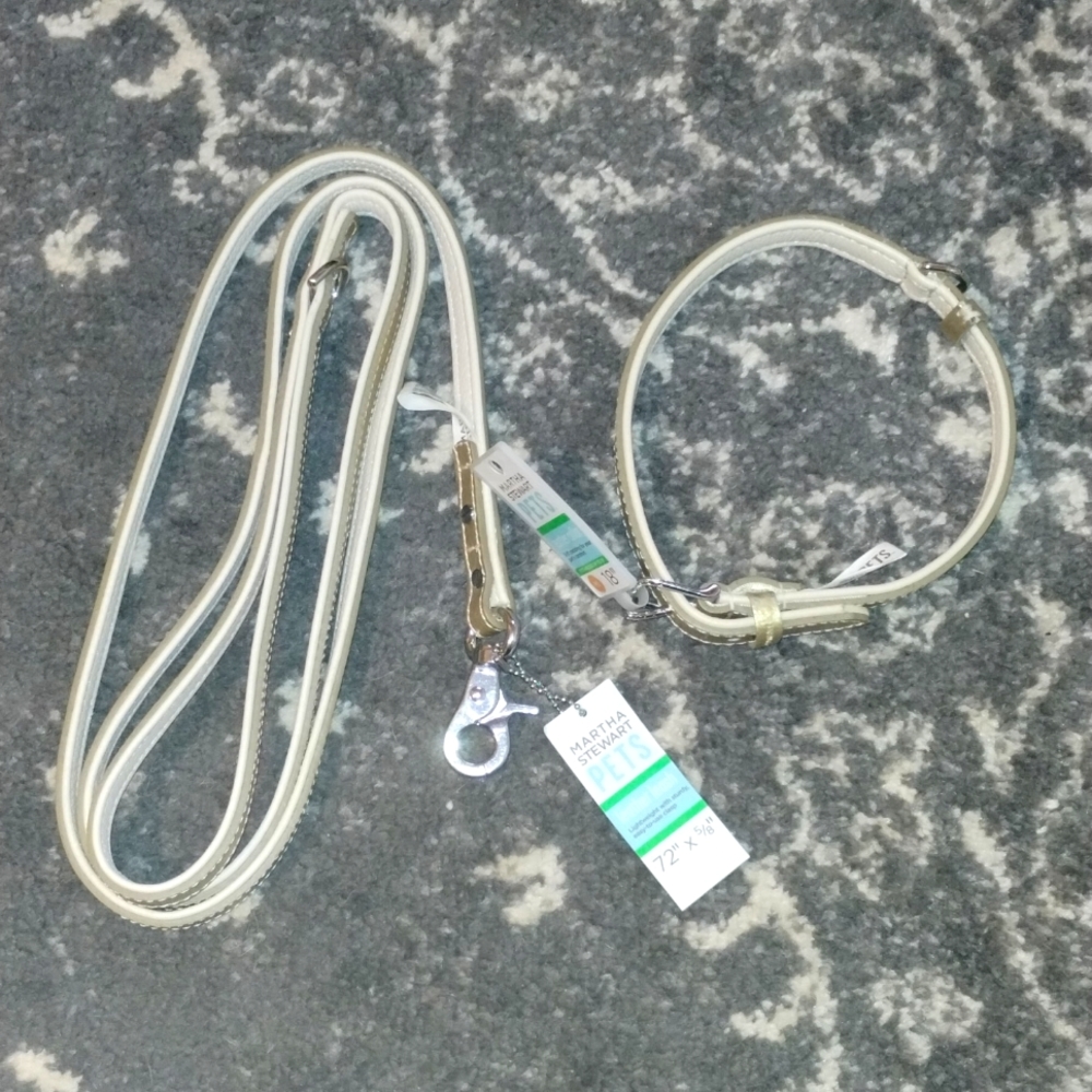 Martha Stewart pets gold collar and leash set